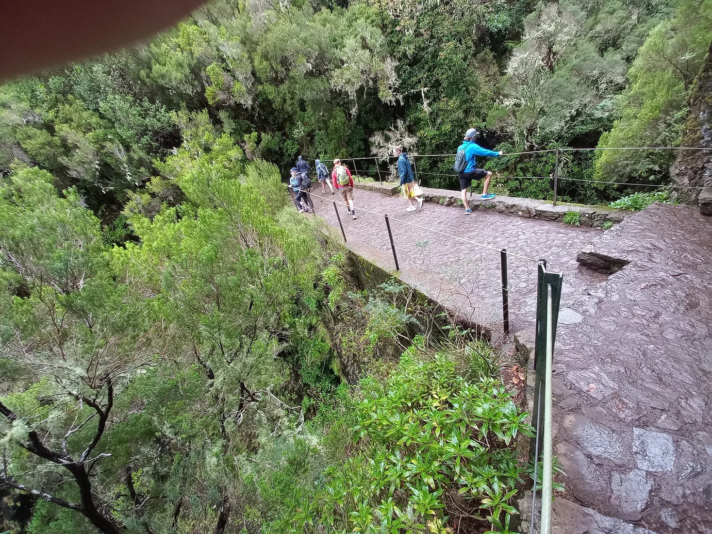 A footbridge on the Levada das 25 Fontes path through laurel forest at Rabaçal