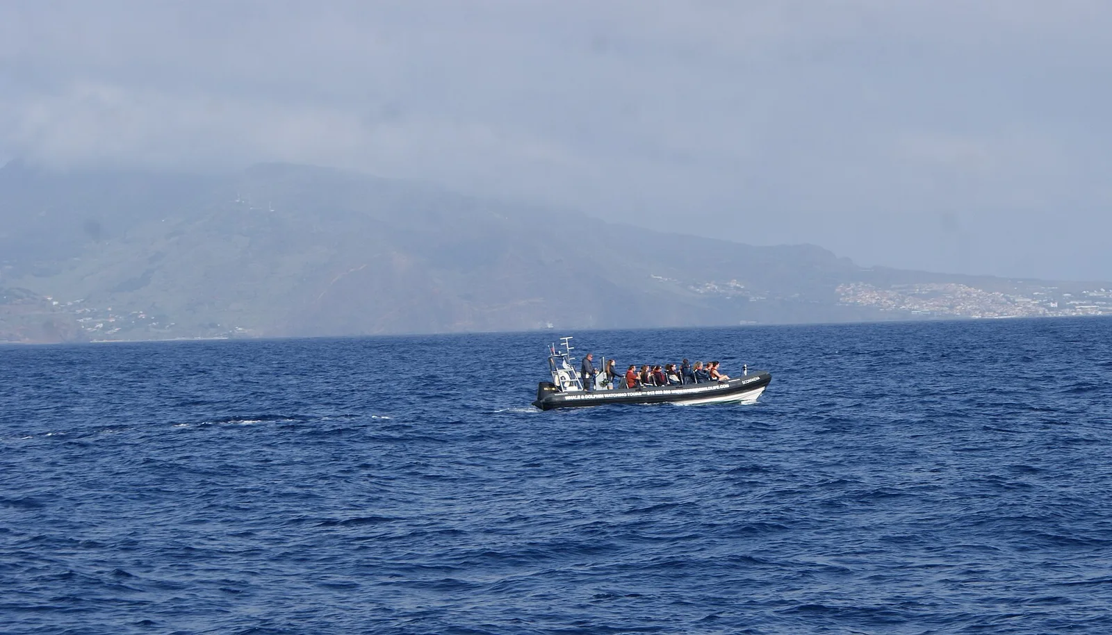 A whale and dolphin watching boat working the water off the Madeiran coast