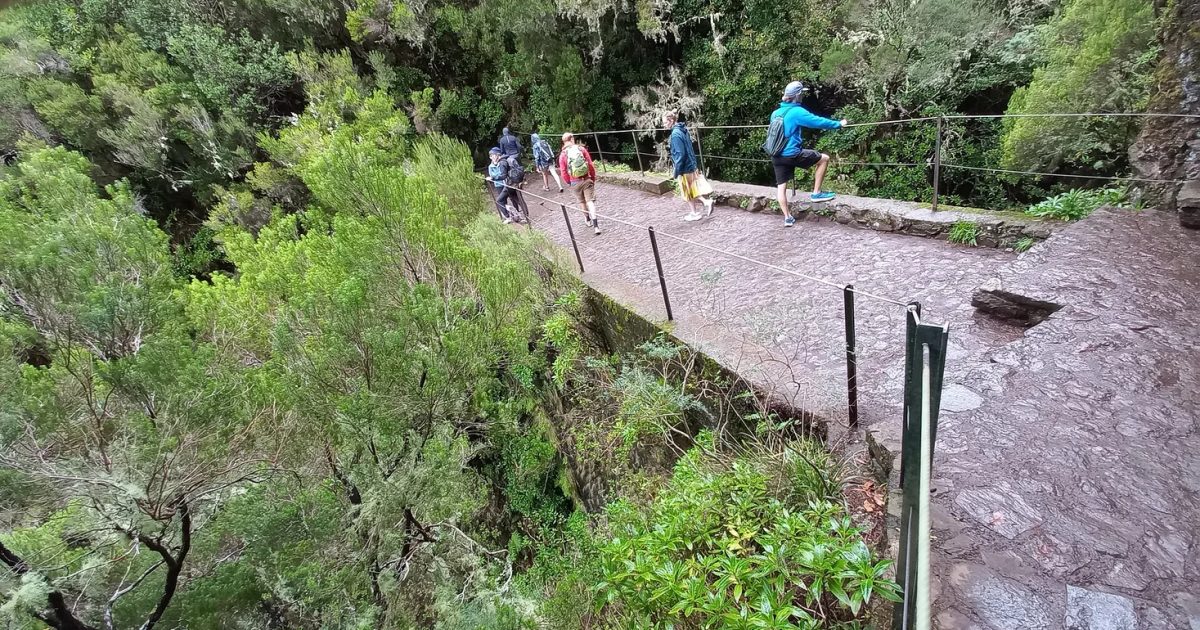 A levada path through laurel forest above Calheta