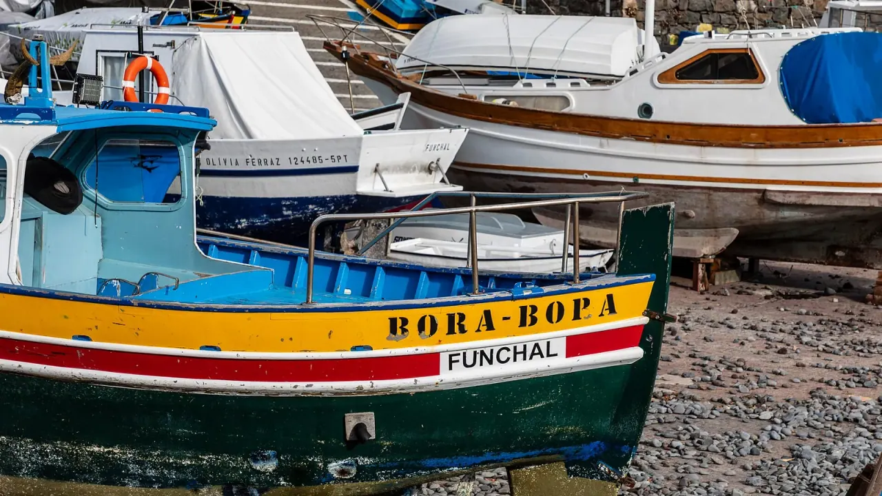 Painted fishing boats in the harbour at Câmara de Lobos, Madeira