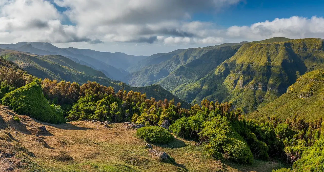 The wooded valley and terraces above Calheta, seen from the Rabaçal road